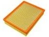 Air Filter:25313348