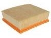 Air Filter:13780-79J50