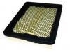 Air Filter:1109-00200