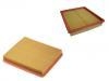 Air Filter:T11-1109111