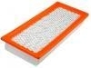 Air Filter:5M6Z-9601-AA