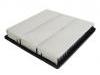 Air Filter:1109102-K00